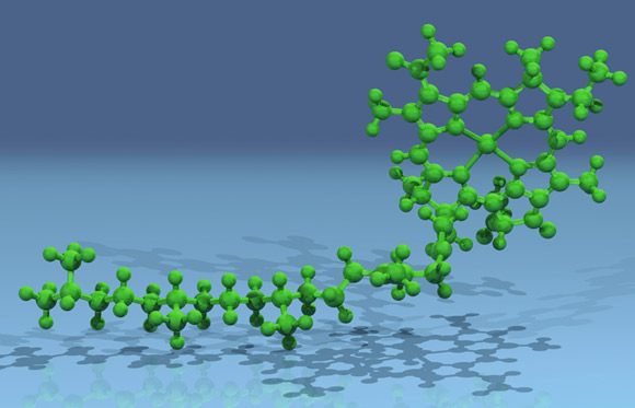 The chlorophyll molecule | Illustration: Science Photo Library