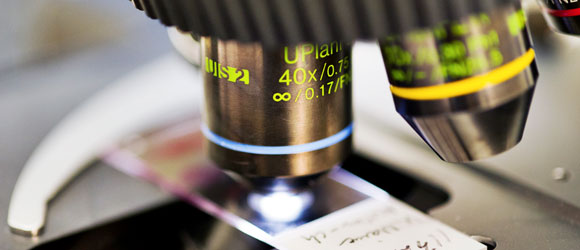  A light microscope in biological research. Photo: Science Photo Library