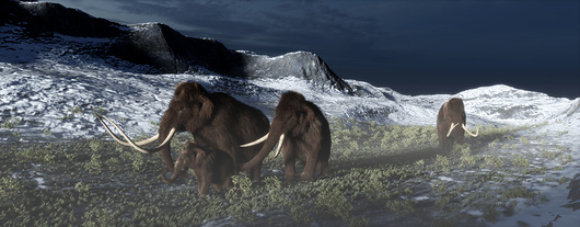 A family of mammoths