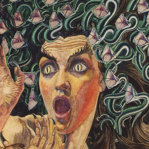 Petrifying Fear: Seeing Medusa