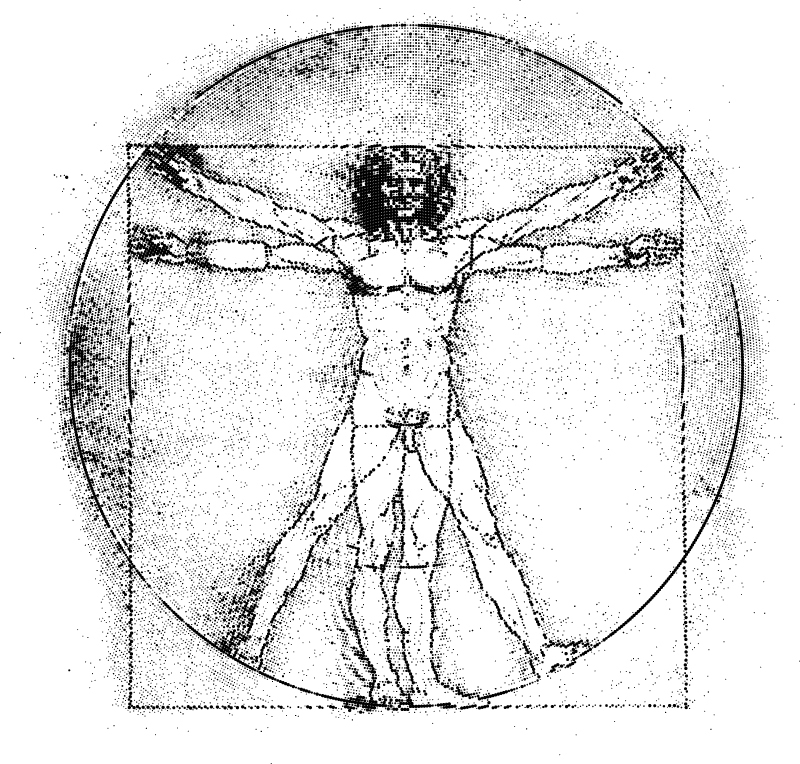 The most famous anatomical drawing. The Vitruvian Man | imagineerinx, Shutterstock.