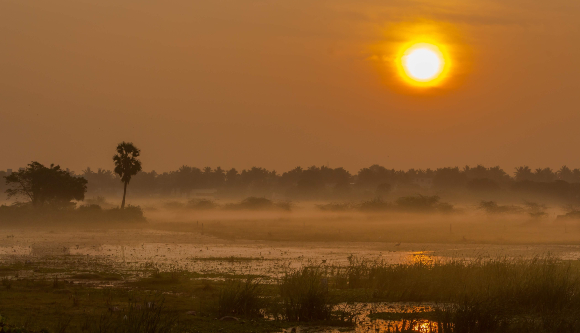 Sunrise over a swamp | Photograph: Srinivasan.Clicks, Shutterstock